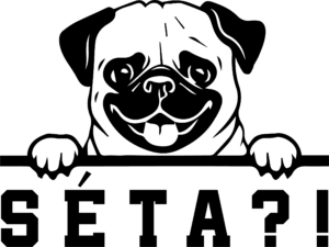 Állatok06